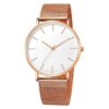 Women Watches Black Watch Fashion Quartz Wristwatch Woman Mesh Band Simple Watches Luxury Ladies Clock Reloj Mujer montre femme